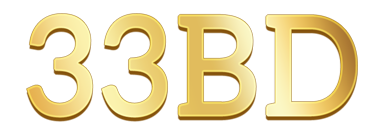 বিডি৩৩ডিবি Logo